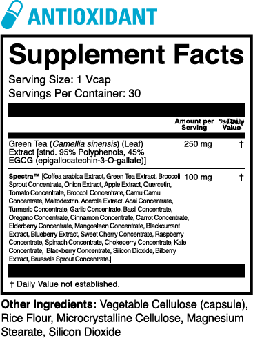 1st Phorm Micro Factor Case