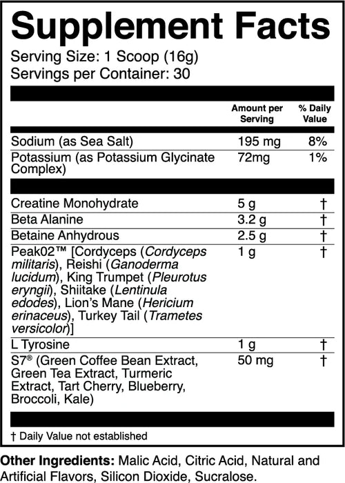 1st Phorm Endura-Formance Pre-Workout