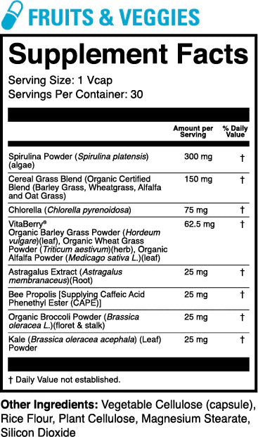 1st Phorm Micro Factor Case